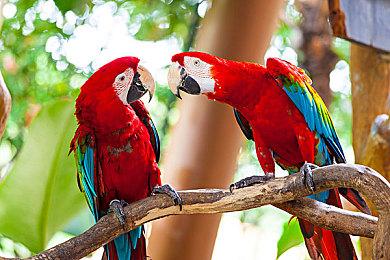 快节奏roguelike游戏《天术》预告 发售日待定